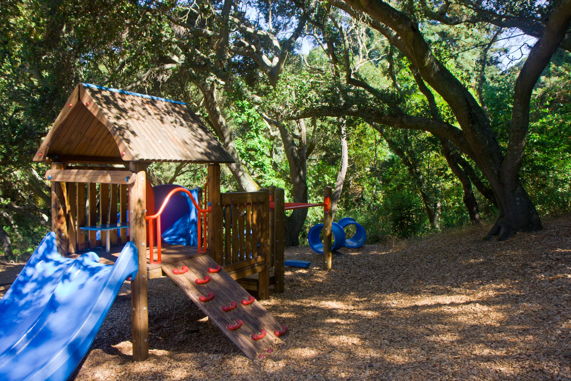 Sequoia Nursery School